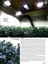Page: - 49 | High Times