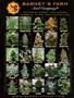 Page: - 57 | High Times