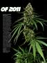 Page: - 59 | High Times
