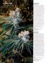 Page: - 66 | High Times