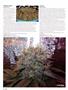 Page: - 72 | High Times