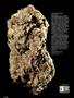 Page: - 74 | High Times