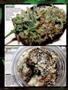 Page: - 96 | High Times