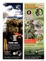 Page: - 99 | High Times