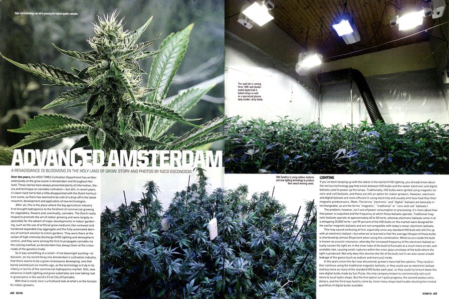 ADVANCED AMSTERDAM