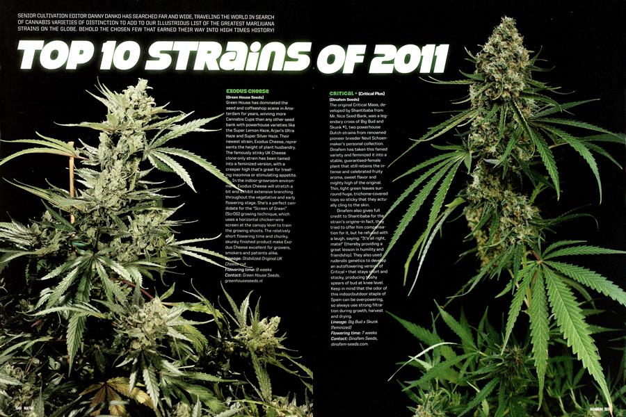 TOP 10 STRAINS OF 2011