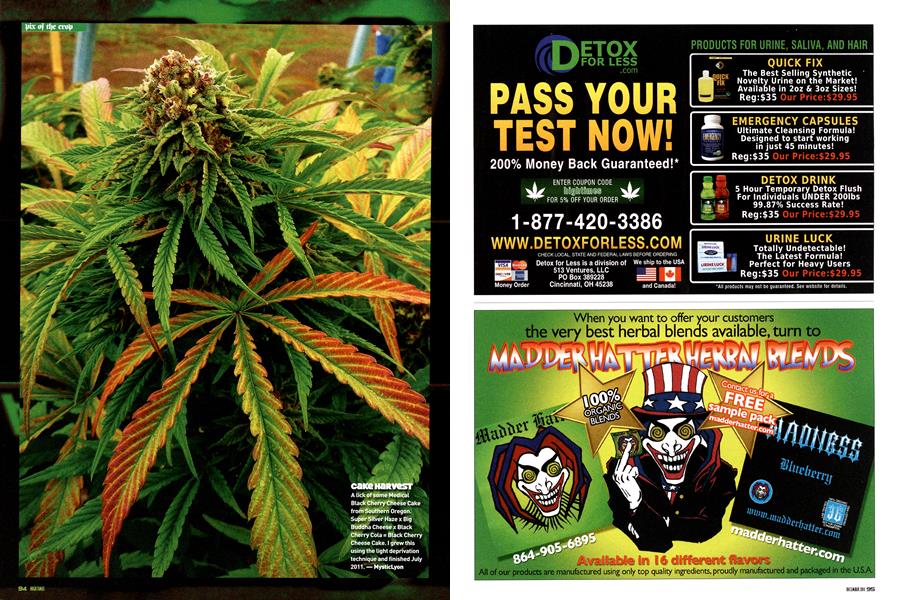 pix of the crop
