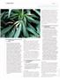 Page: - 100 | High Times
