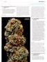Page: - 101 | High Times
