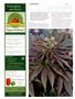 Page: - 102 | High Times