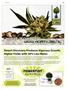 Page: - 105 | High Times