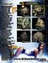 Page: - 134 | High Times