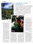 Page: - 32 | High Times