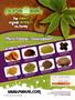 Page: - 43 | High Times