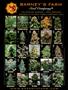 Page: - 45 | High Times