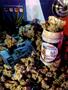 Page: - 61 | High Times