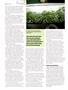 Page: - 64 | High Times