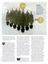 Page: - 77 | High Times