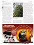 Page: - 78 | High Times