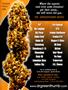 Page: - 81 | High Times