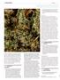 Page: - 100 | High Times