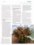 Page: - 101 | High Times
