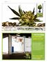 Page: - 105 | High Times