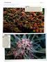 Page: - 122 | High Times