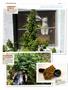 Page: - 124 | High Times