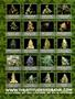 Page: - 2 | High Times