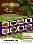 Page: - 22 | High Times