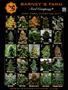 Page: - 45 | High Times