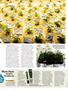 Page: - 50 | High Times