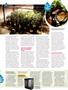 Page: - 56 | High Times