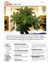 Page: - 6 | High Times