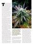 Page: - 65 | High Times