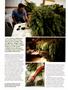Page: - 66 | High Times