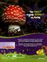 Page: - 7 | High Times