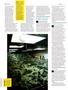Page: - 76 | High Times