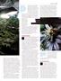 Page: - 83 | High Times