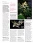 Page: - 92 | High Times