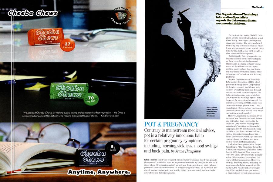 POT & PREGNANCY