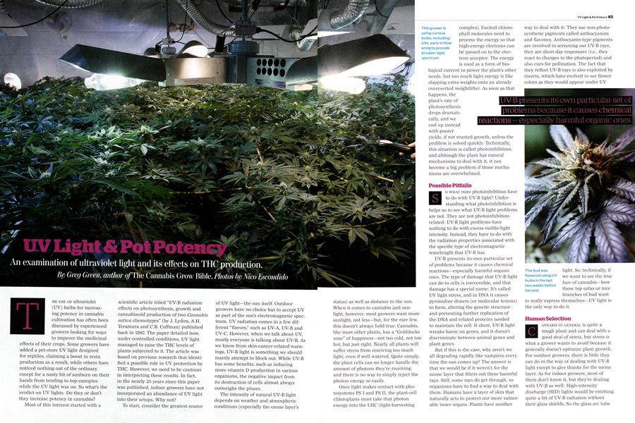 UV Light & Pot Potency