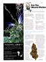 Page: - 106 | High Times
