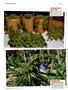 Page: - 122 | High Times