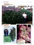 Page: - 124 | High Times