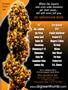 Page: - 127 | High Times
