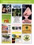 Page: - 131 | High Times