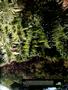 Page: - 14 | High Times