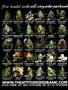 Page: - 2 | High Times